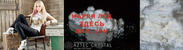 прущие грибы Куйбышев