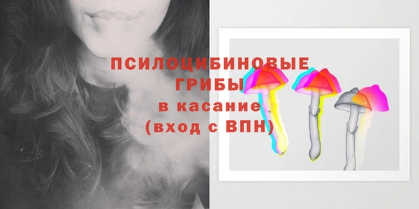 стаф Краснослободск