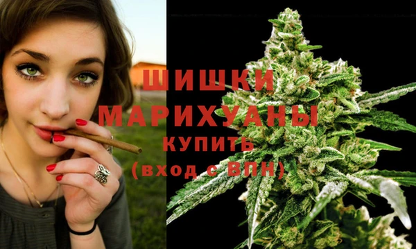 стаф Краснослободск