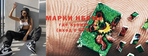 стаф Краснослободск