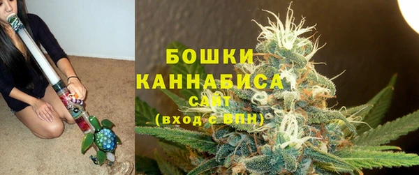стаф Краснослободск