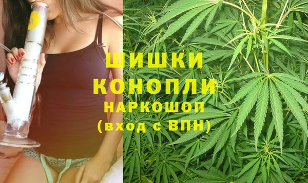 прущие грибы Куйбышев