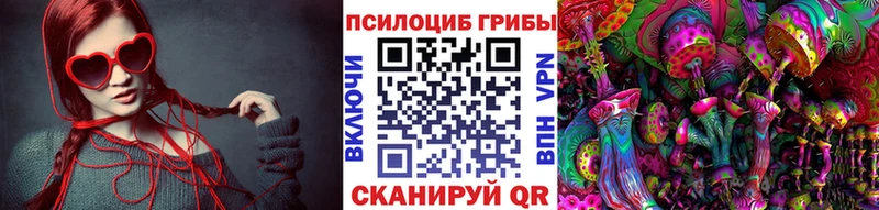 Псилоцибиновые грибы MAGIC MUSHROOMS  Купить  Кандалакша 
